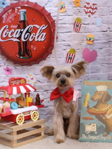 20230916マックスくん